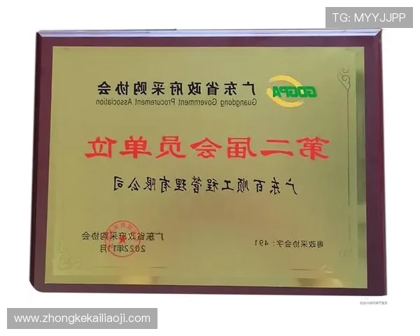 凯发集团k8：品牌建设与市场推广策略的成功经验