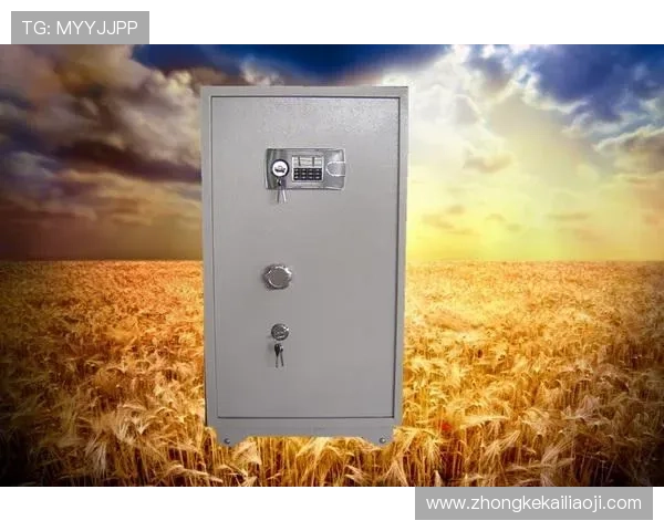 凯发k8下载安全保障措施，保障用户资金和个人信息安全，放心娱乐无忧虑