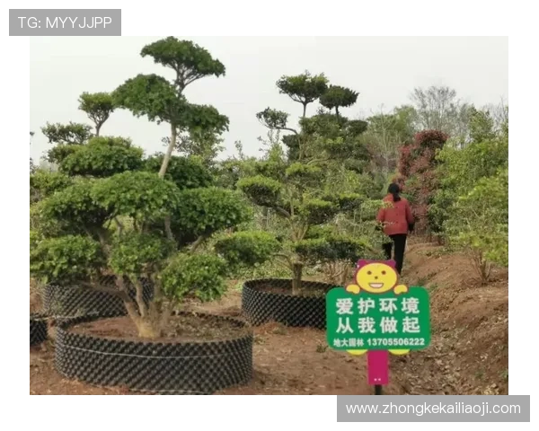 凯发在线注册下载流程详解，帮助新手快速掌握注册技巧，轻松进入精彩游戏世界